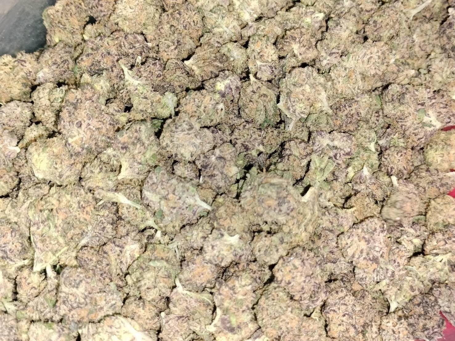 NakhonsaWEED
