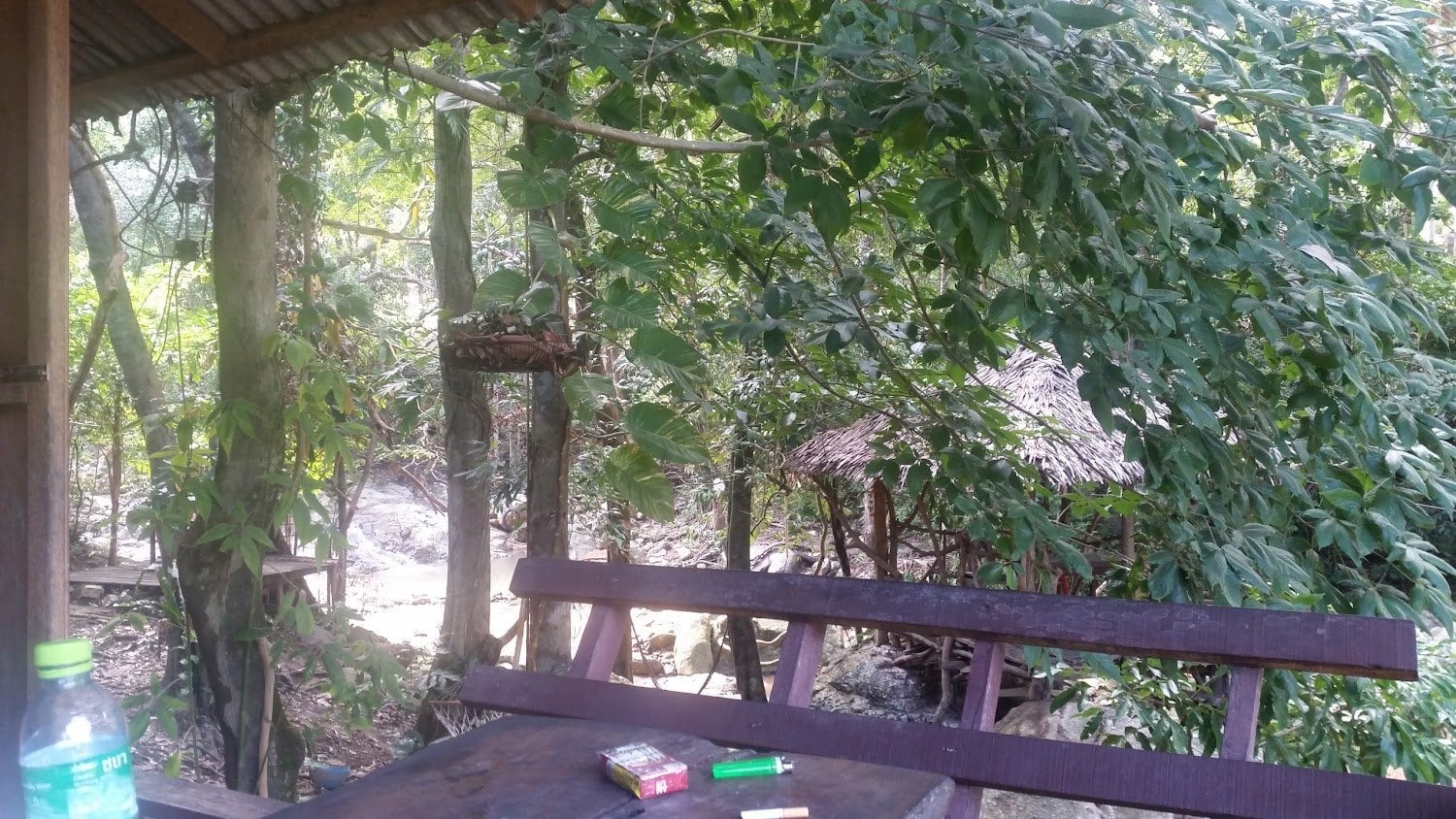 Tarzan Bar