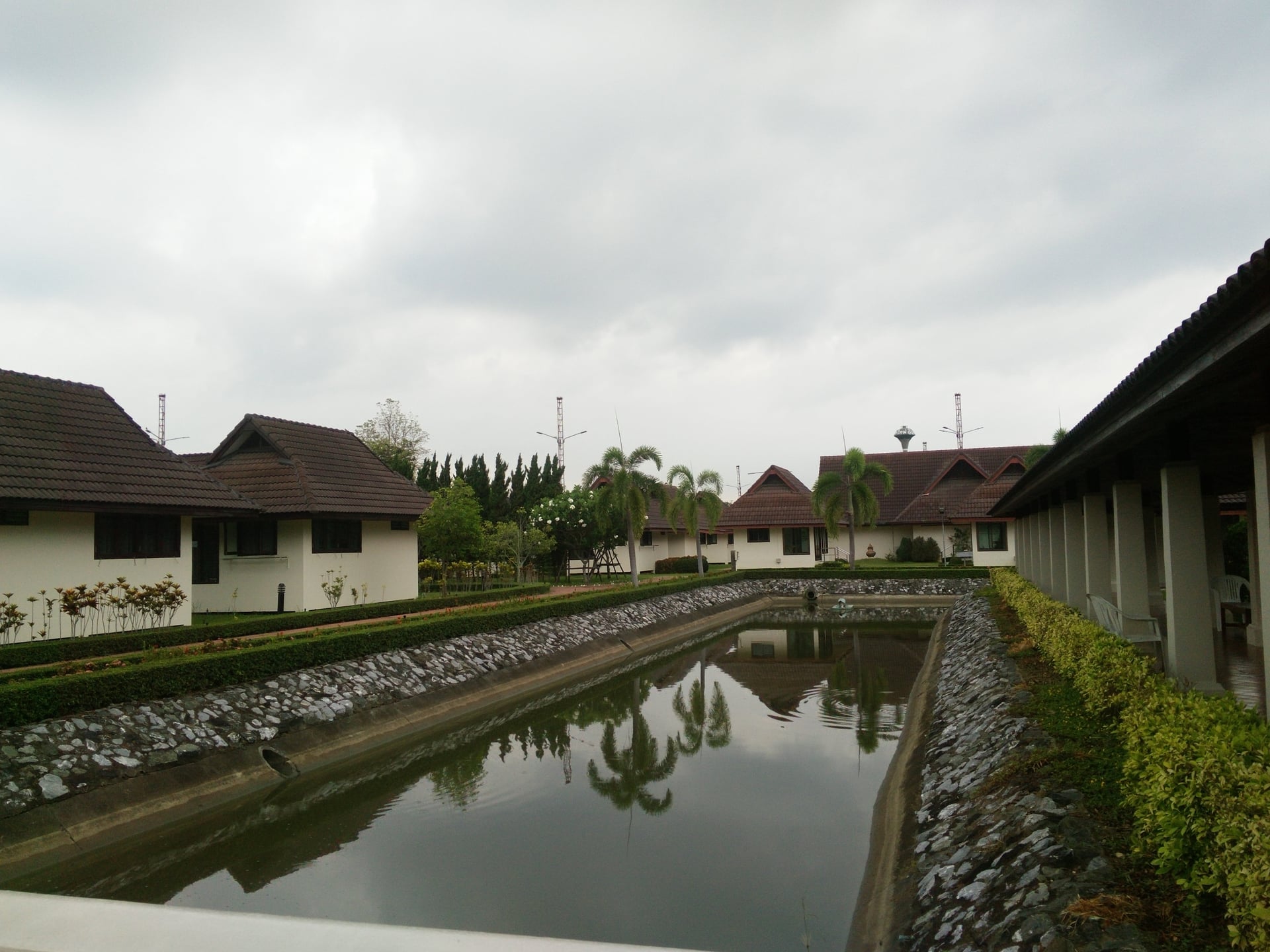 Mr. Shark Farm