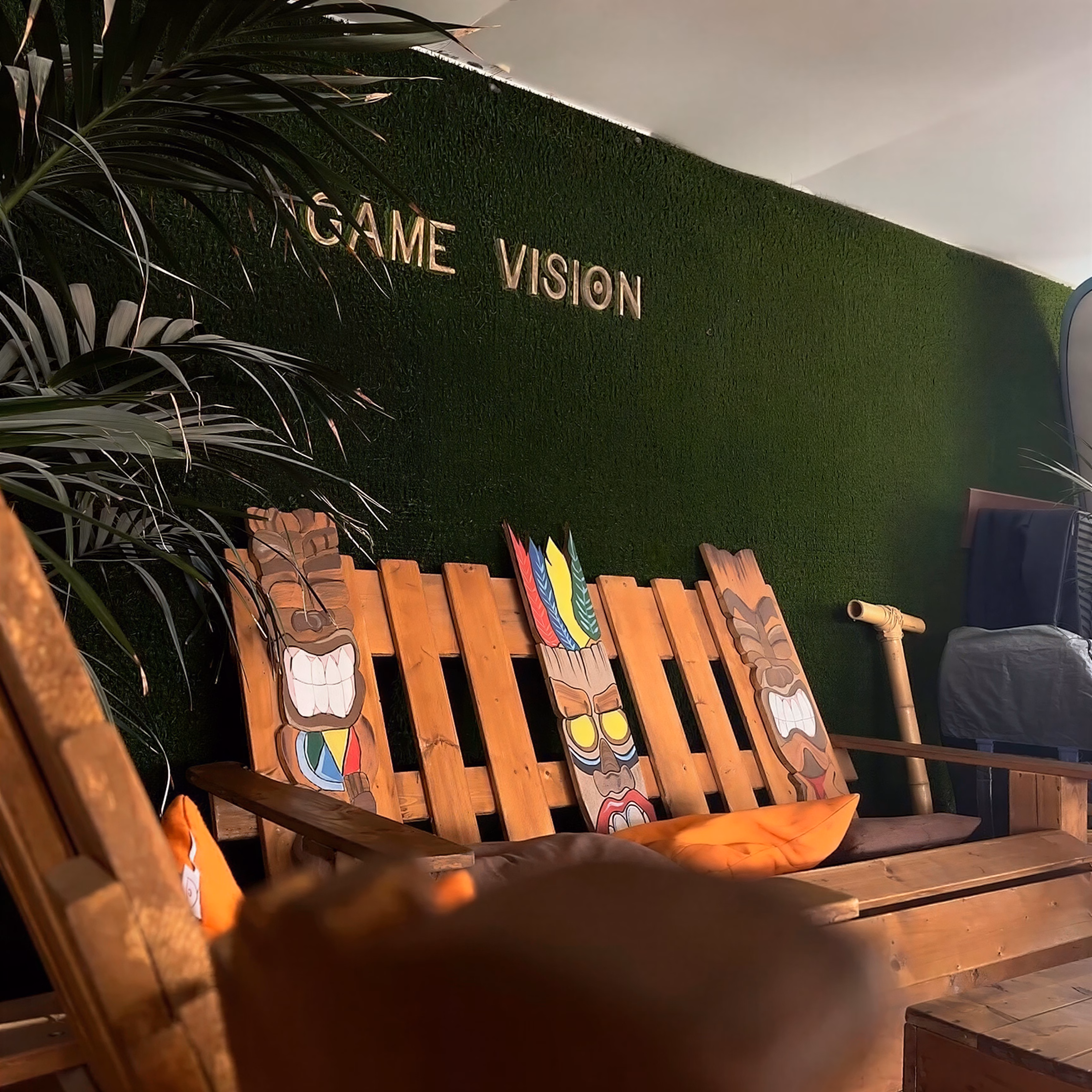 Game Vision