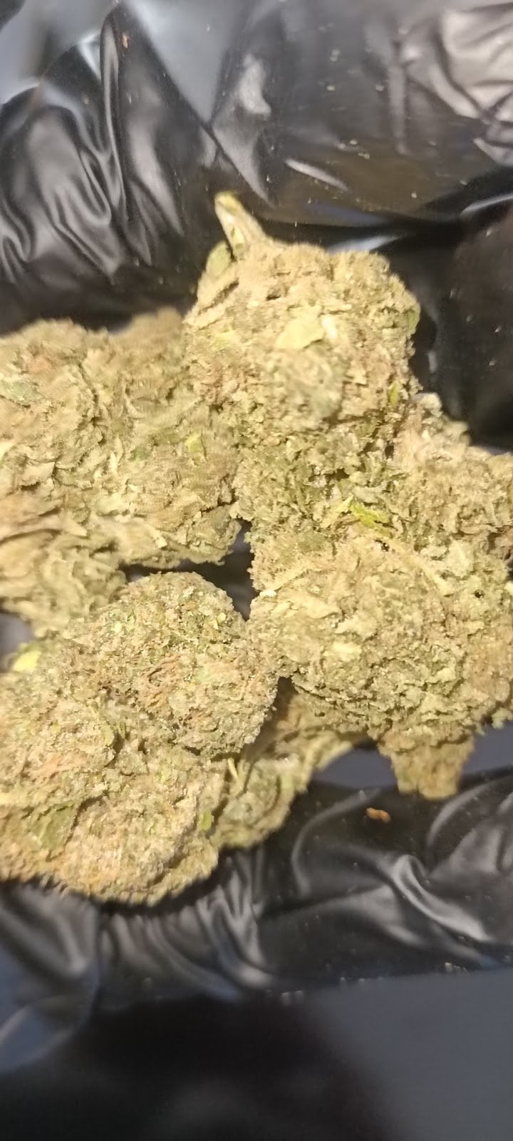 OG 2