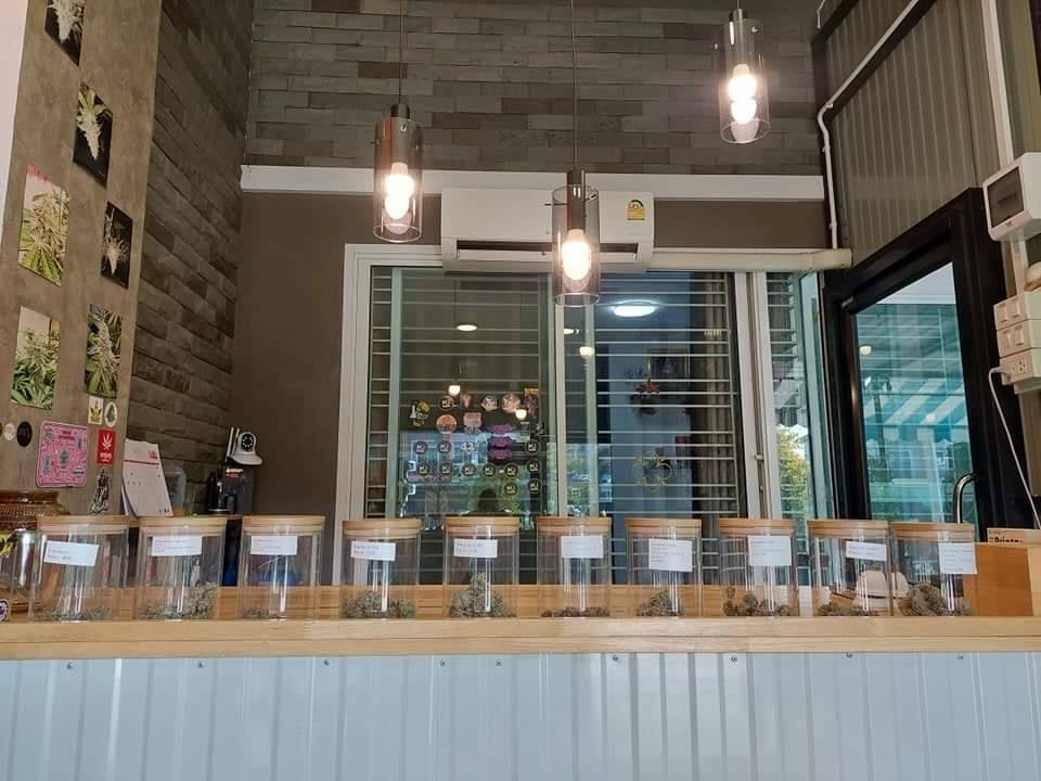 Cannabis Genius Space