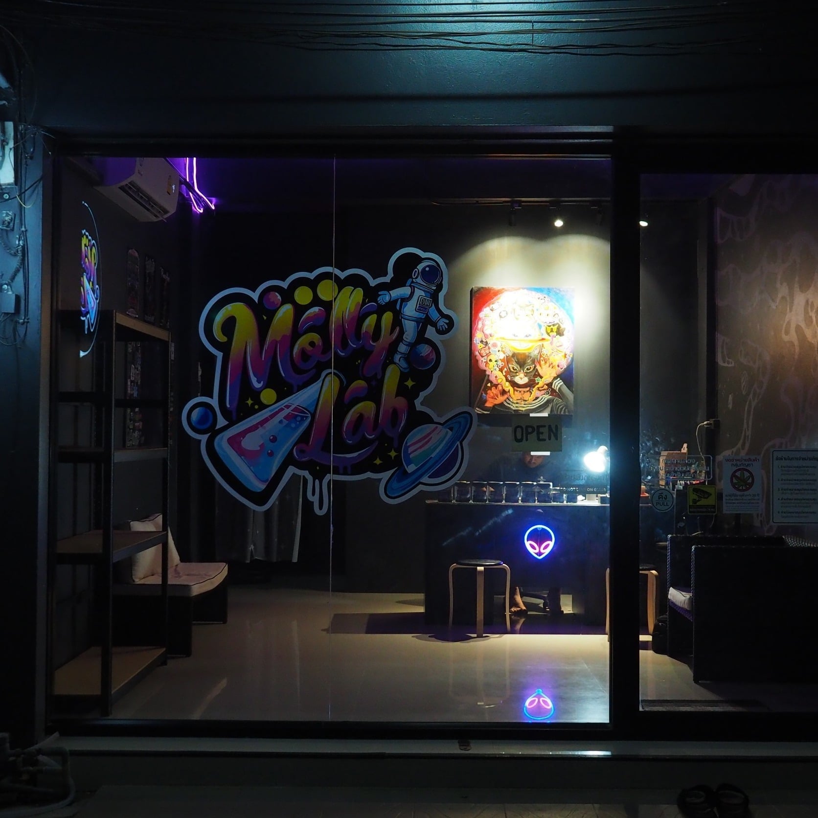 Molly Lab