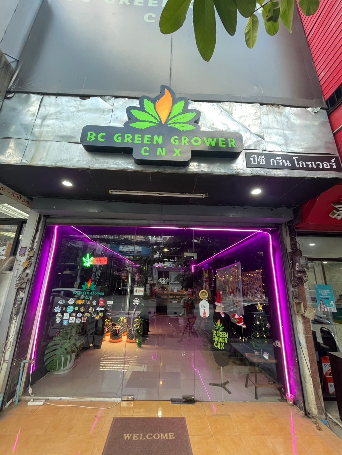 Green Land CNX