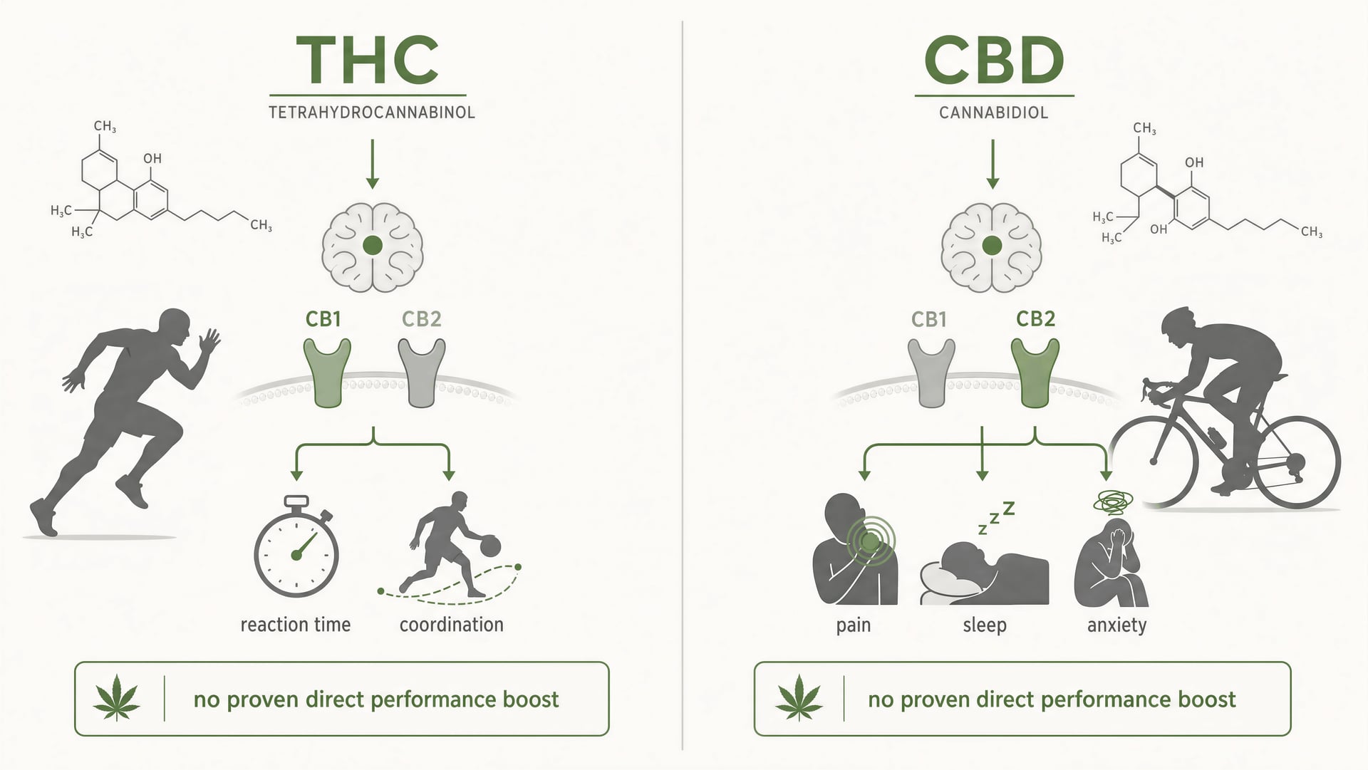 Cannabis e sport: CBD, THC, recupero e regole