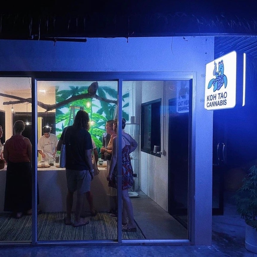 Koh Tao Cannabis