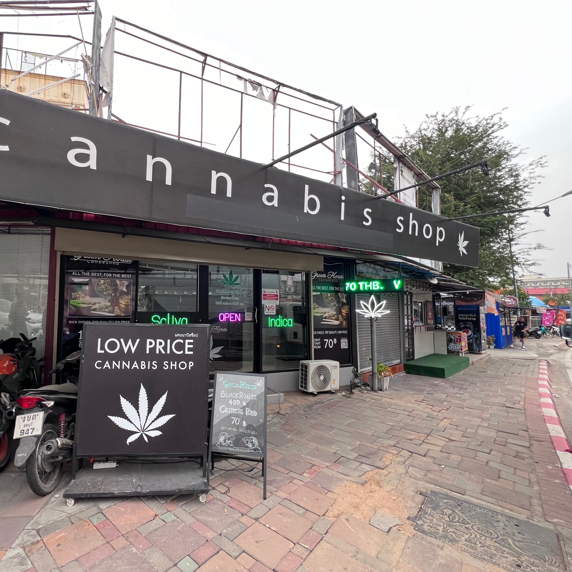 Green House Coffeeshop Thap Phraya