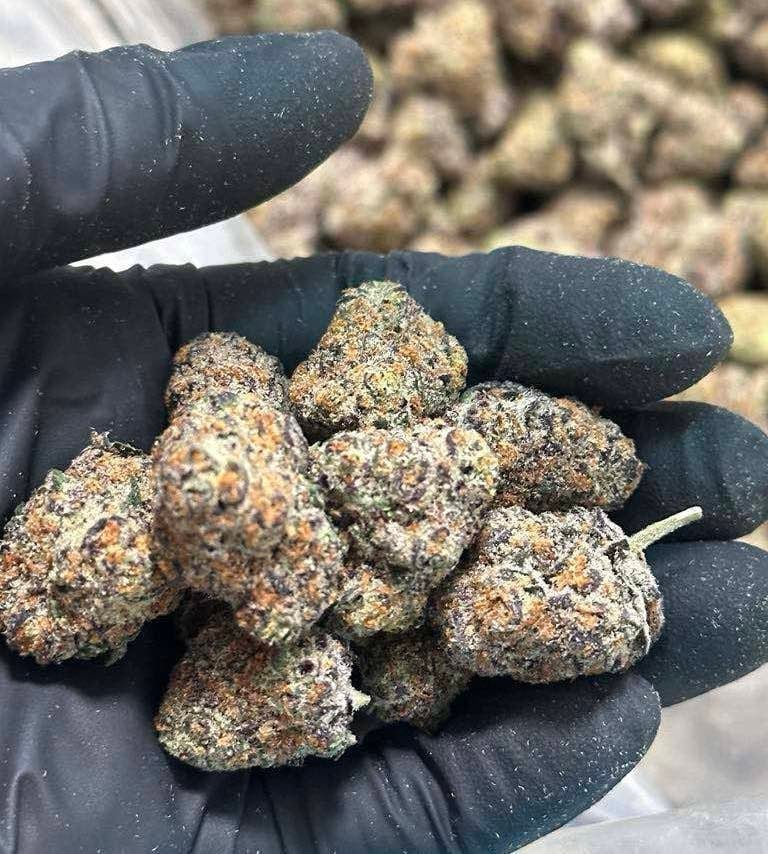 Bomhappy Cannabis