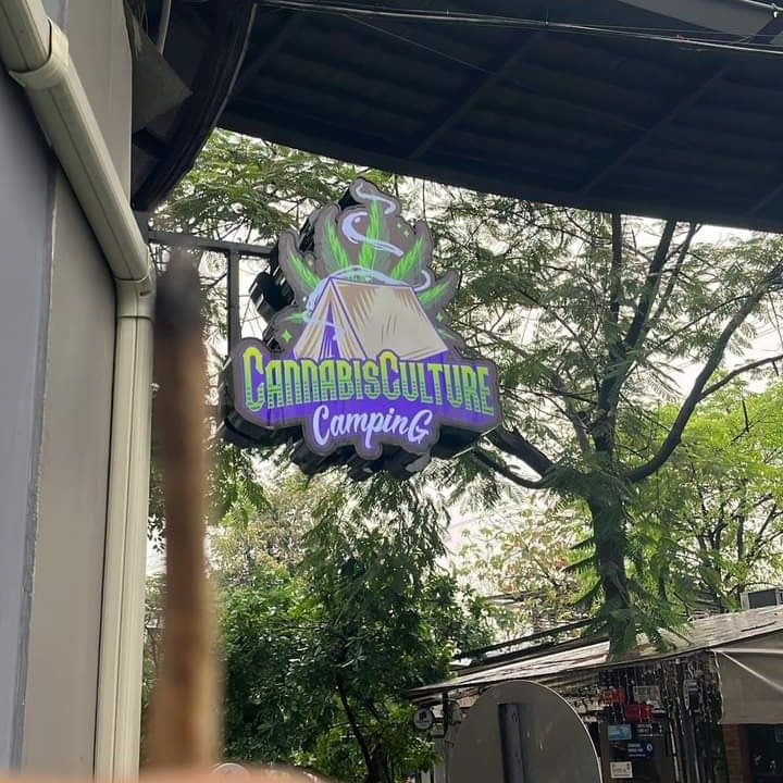 Cannabis Culture Camping