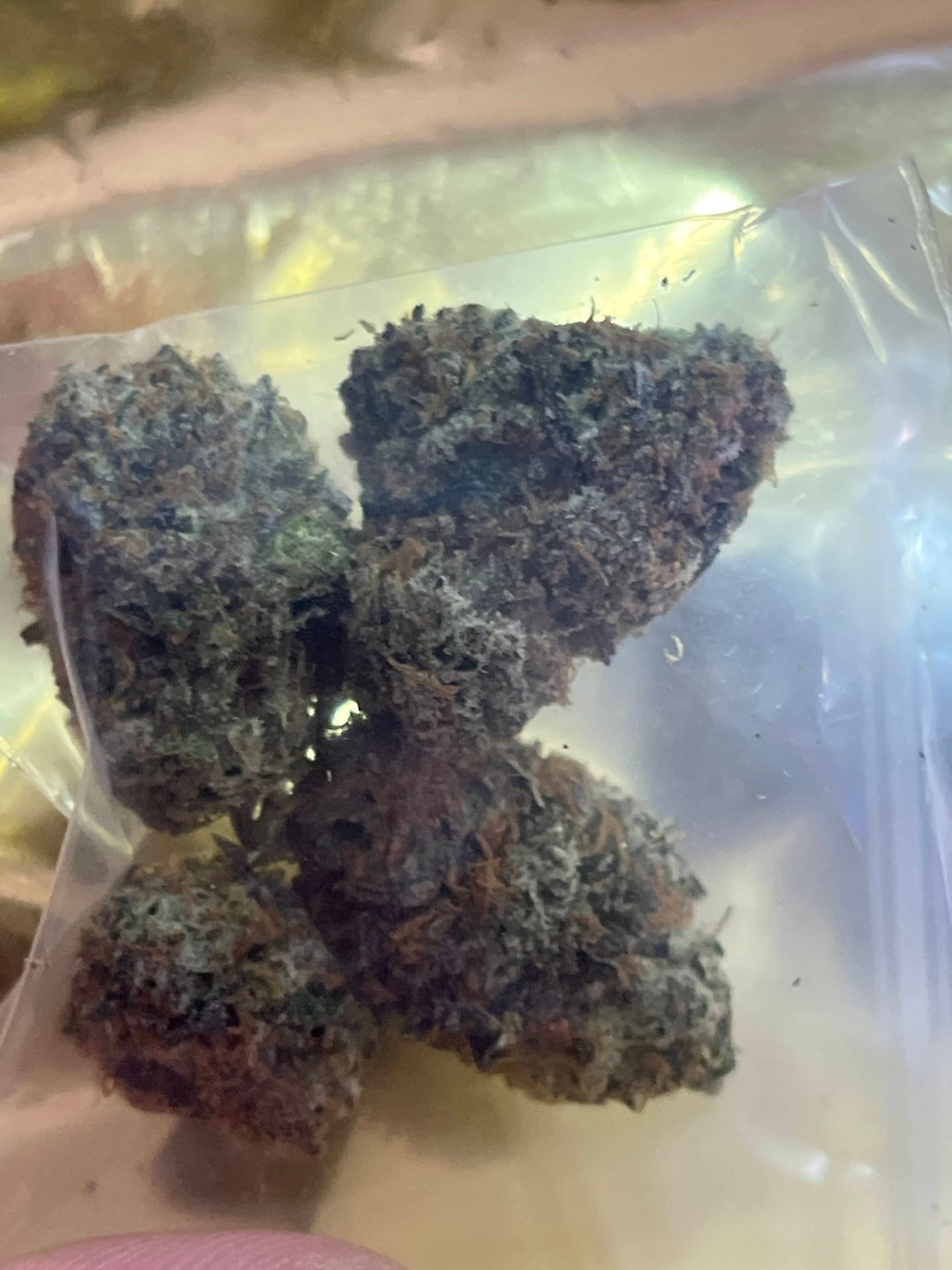 Monkkush Genetix