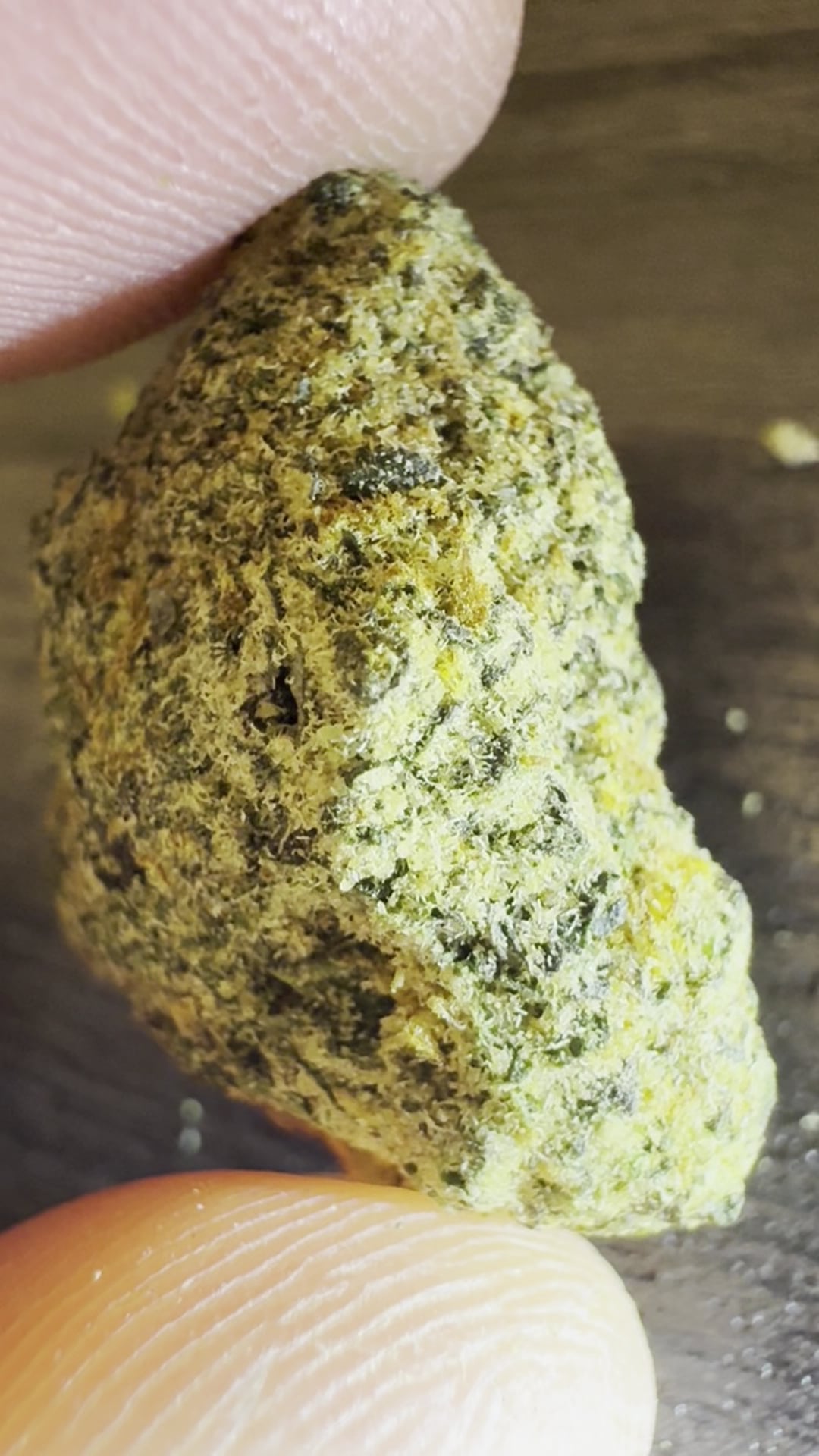 The Sniffer Boy Cannabis