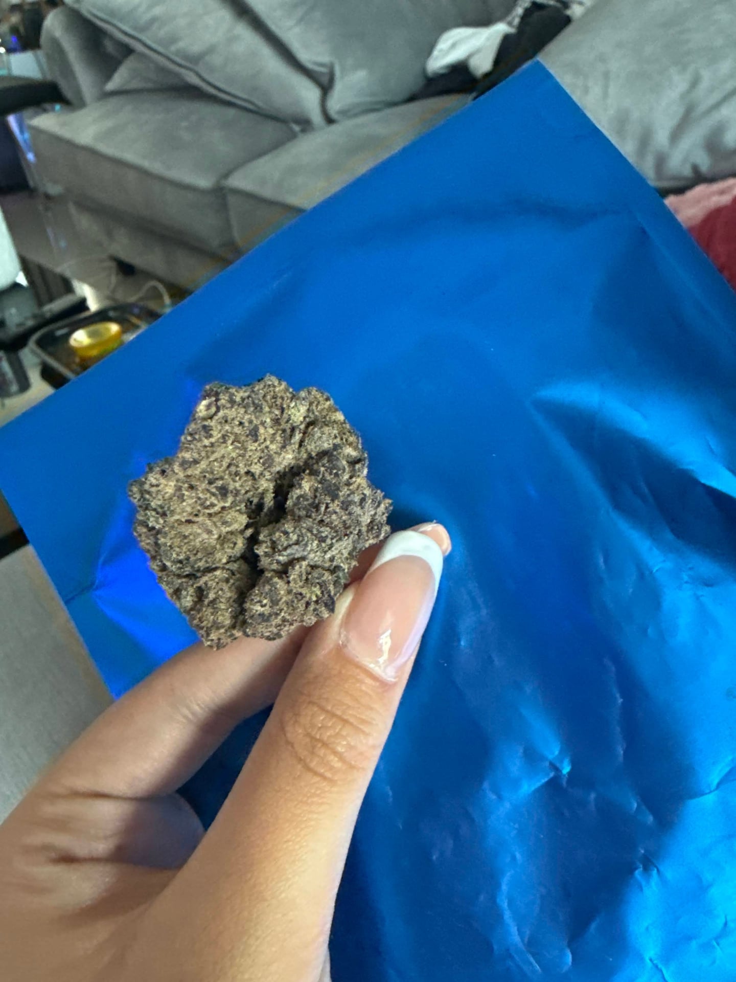 Thaiexotics.com