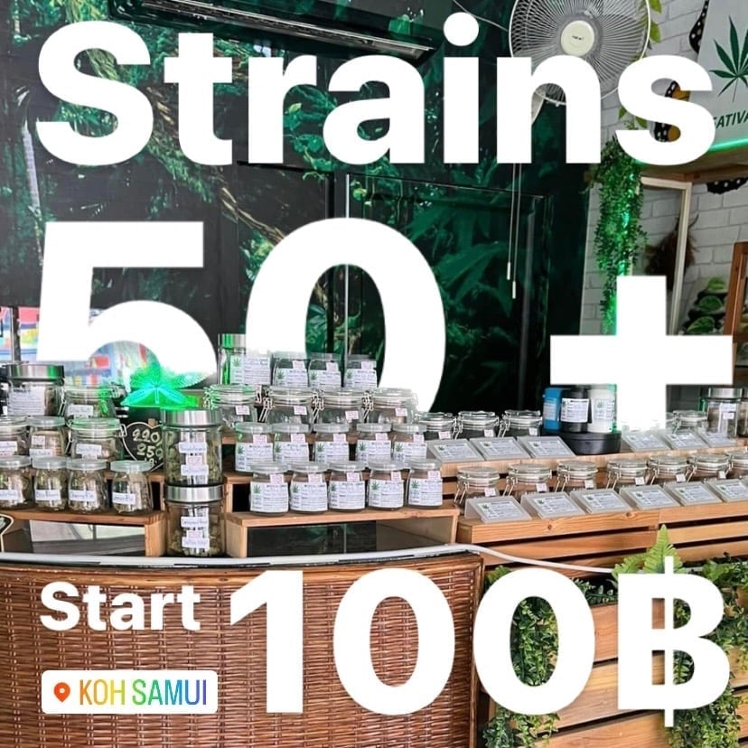 Green House Cannabis Koh Samui