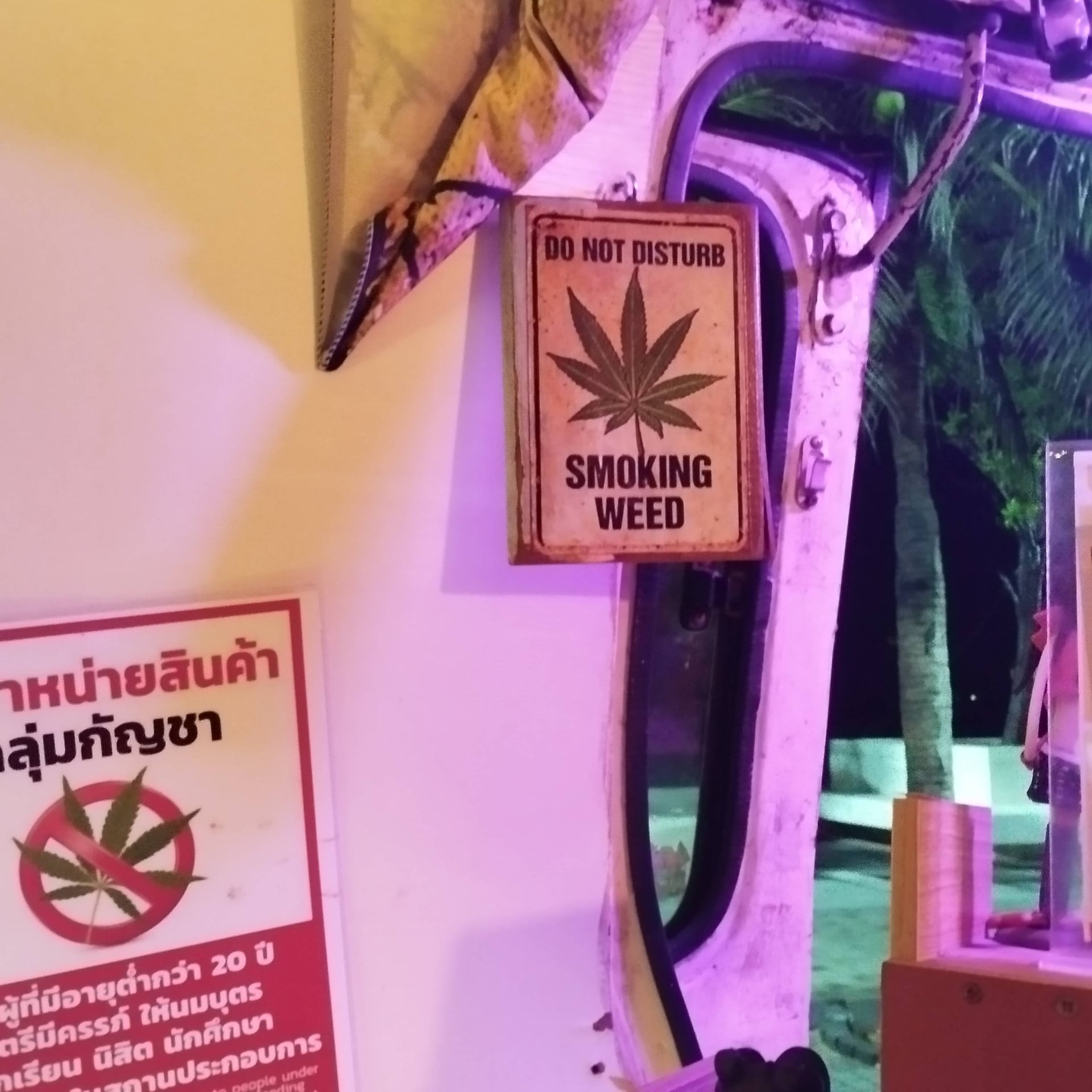 Weeds Camp