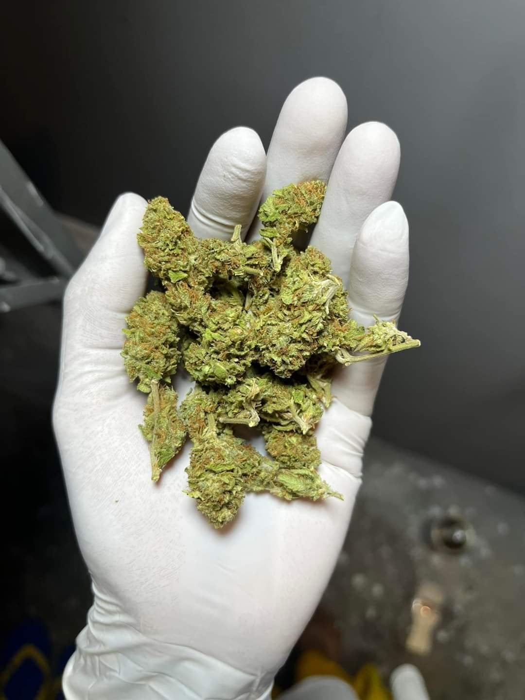 Mahamao.cannabis
