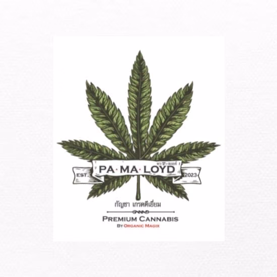 Cannabis Social Club Pamaloyd logo