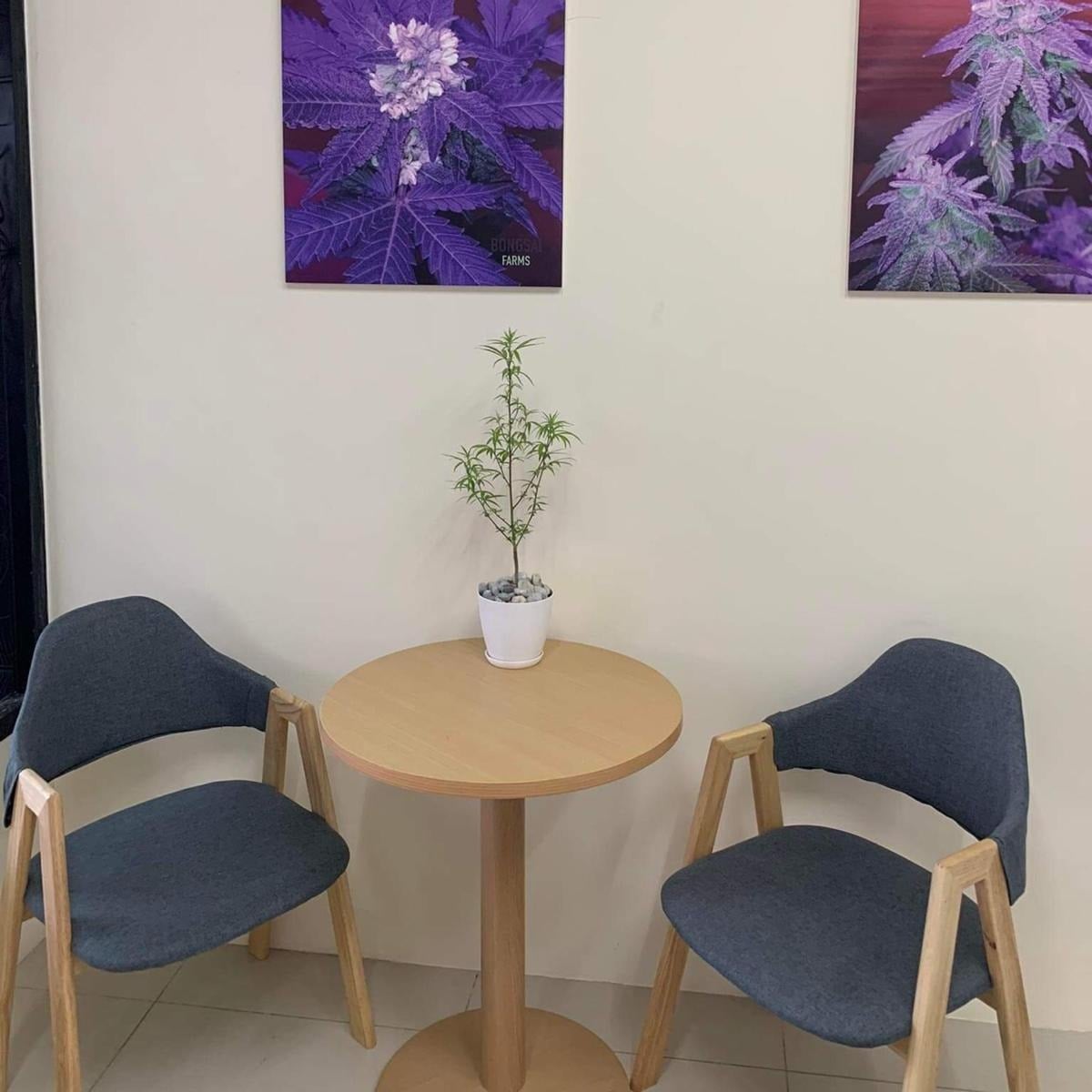 Bongsai Shop: Express Medical
