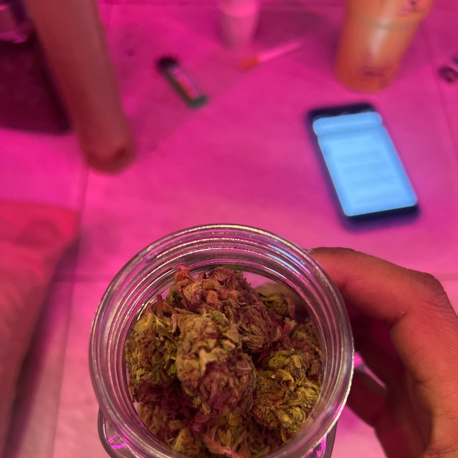Nl Cannabis