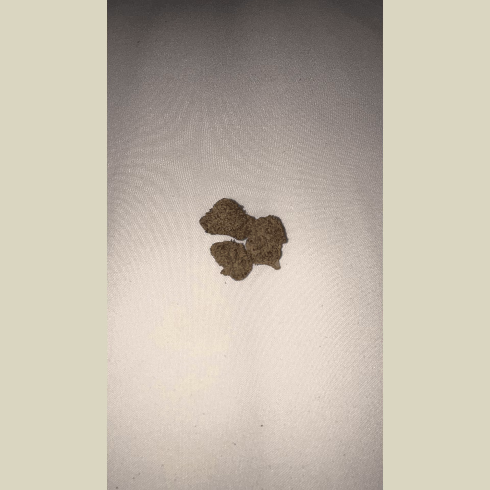 نادي القنب الاجتماعي Stoner Island في Ko Samui شعار