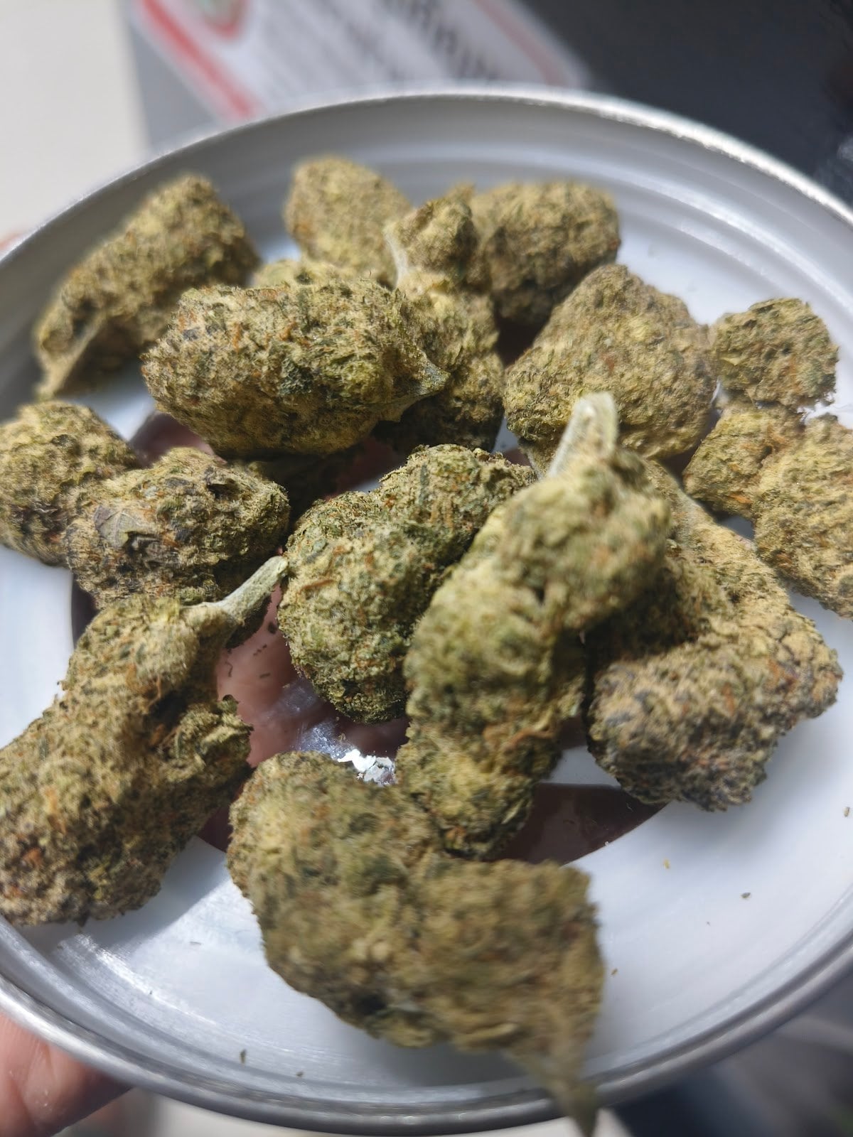 Fizzy Dizzy Cannabis Café