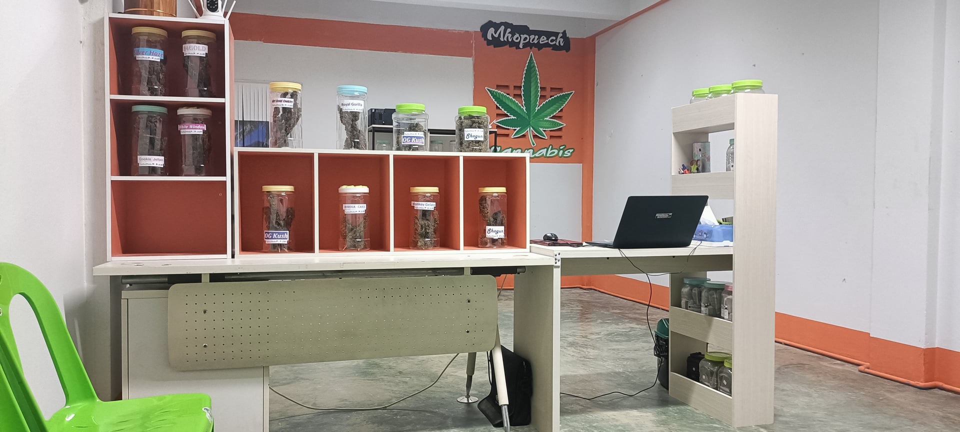 Mhopuech Cannabis