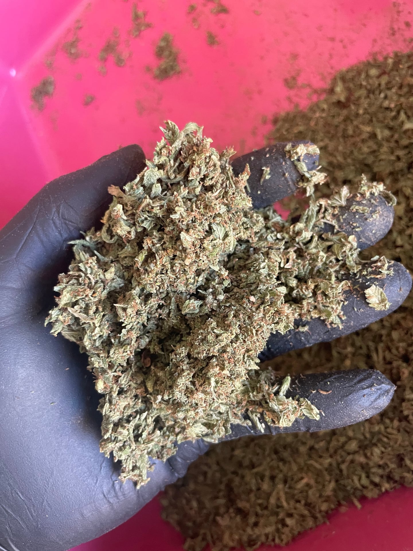 Fa Farm Cannabis