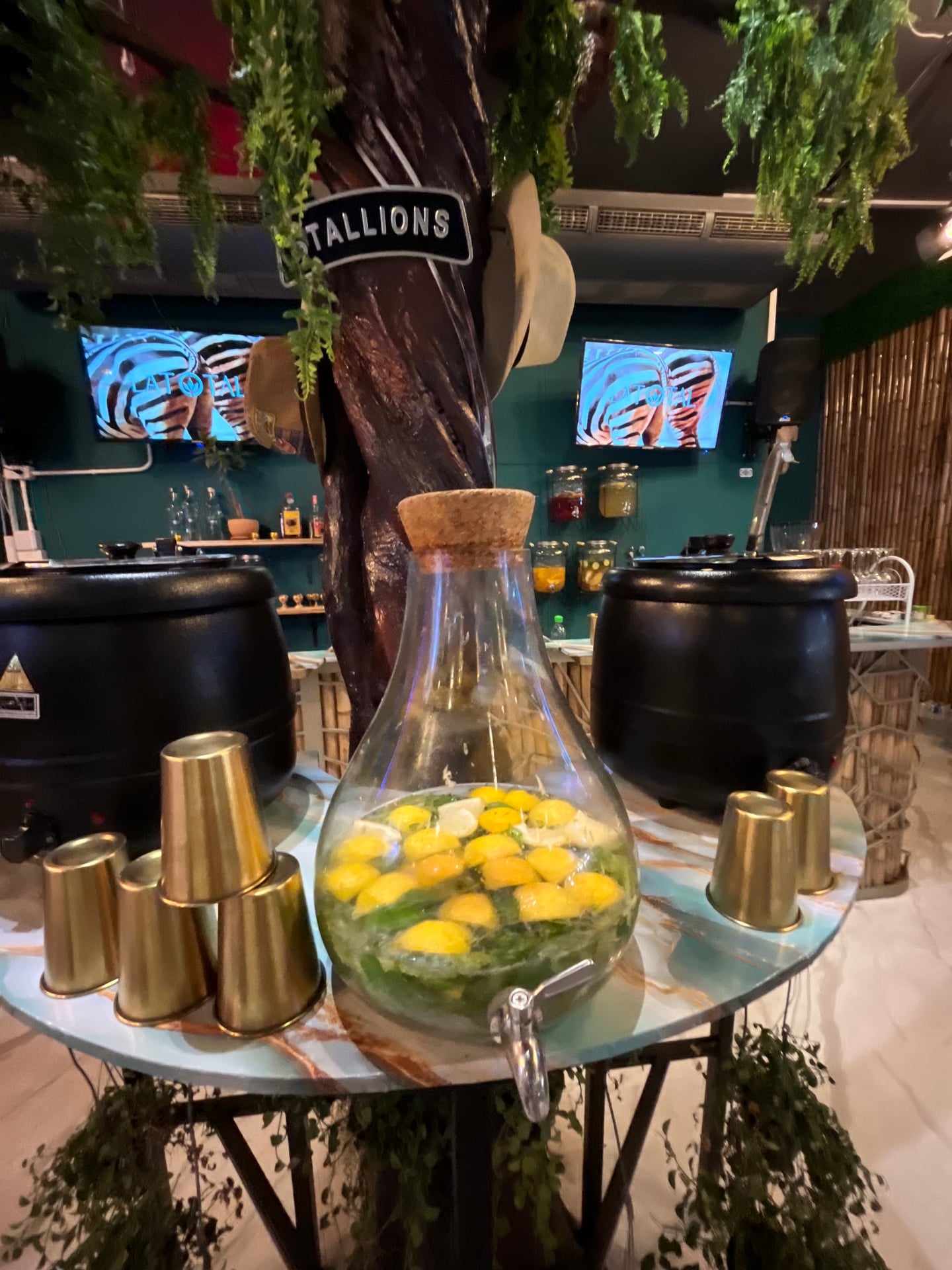 LATOTAL - Concept Bar