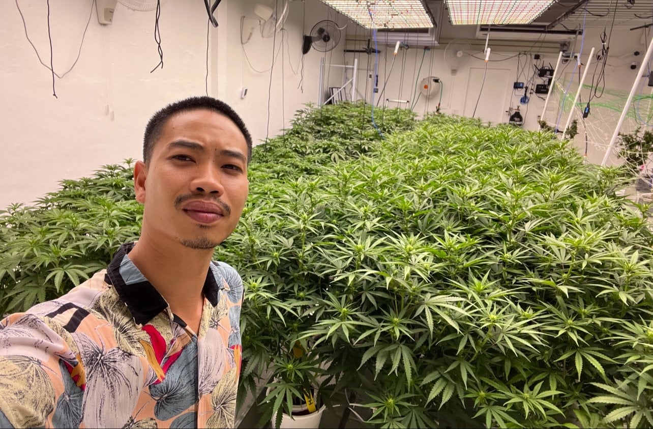 Mr.LeeGrower