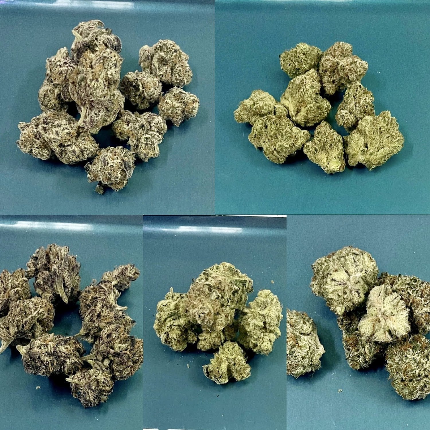 Mardi.weed