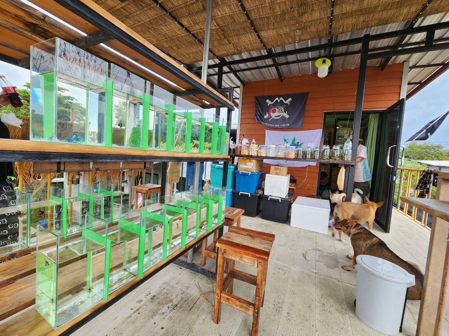 Shop By