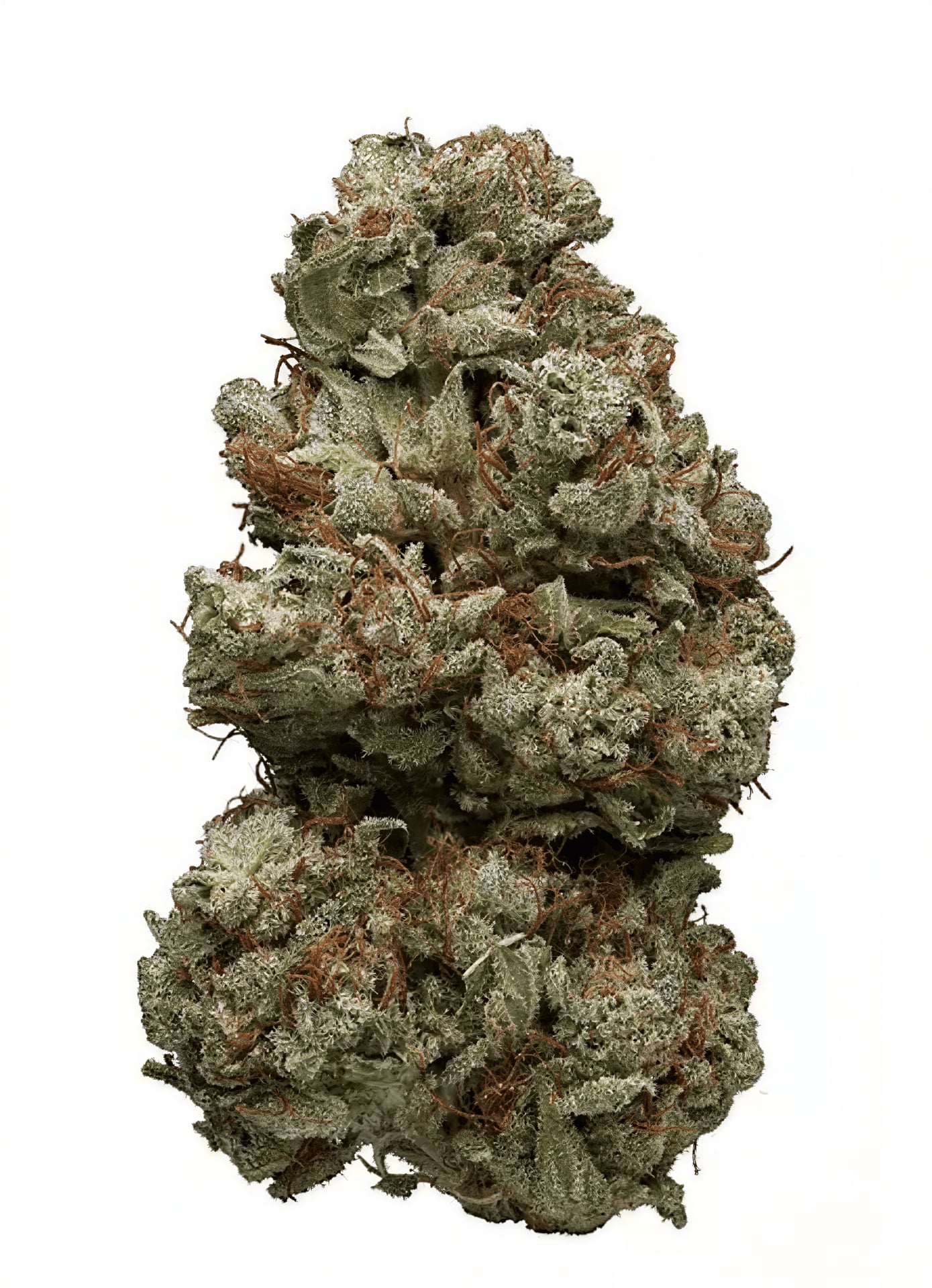 Madibaweeds