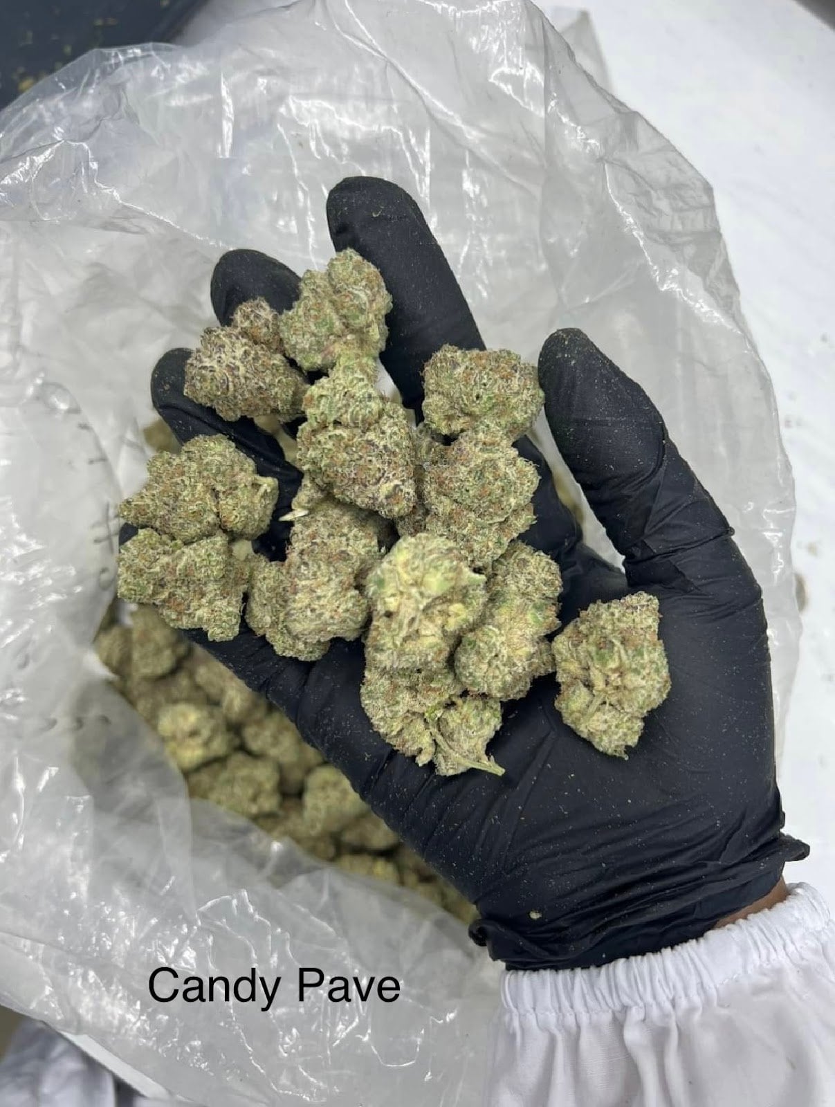 Weed Castle Asiatique - Cannabis