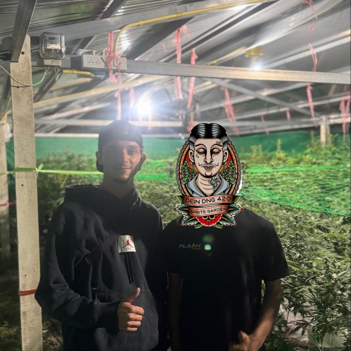 420