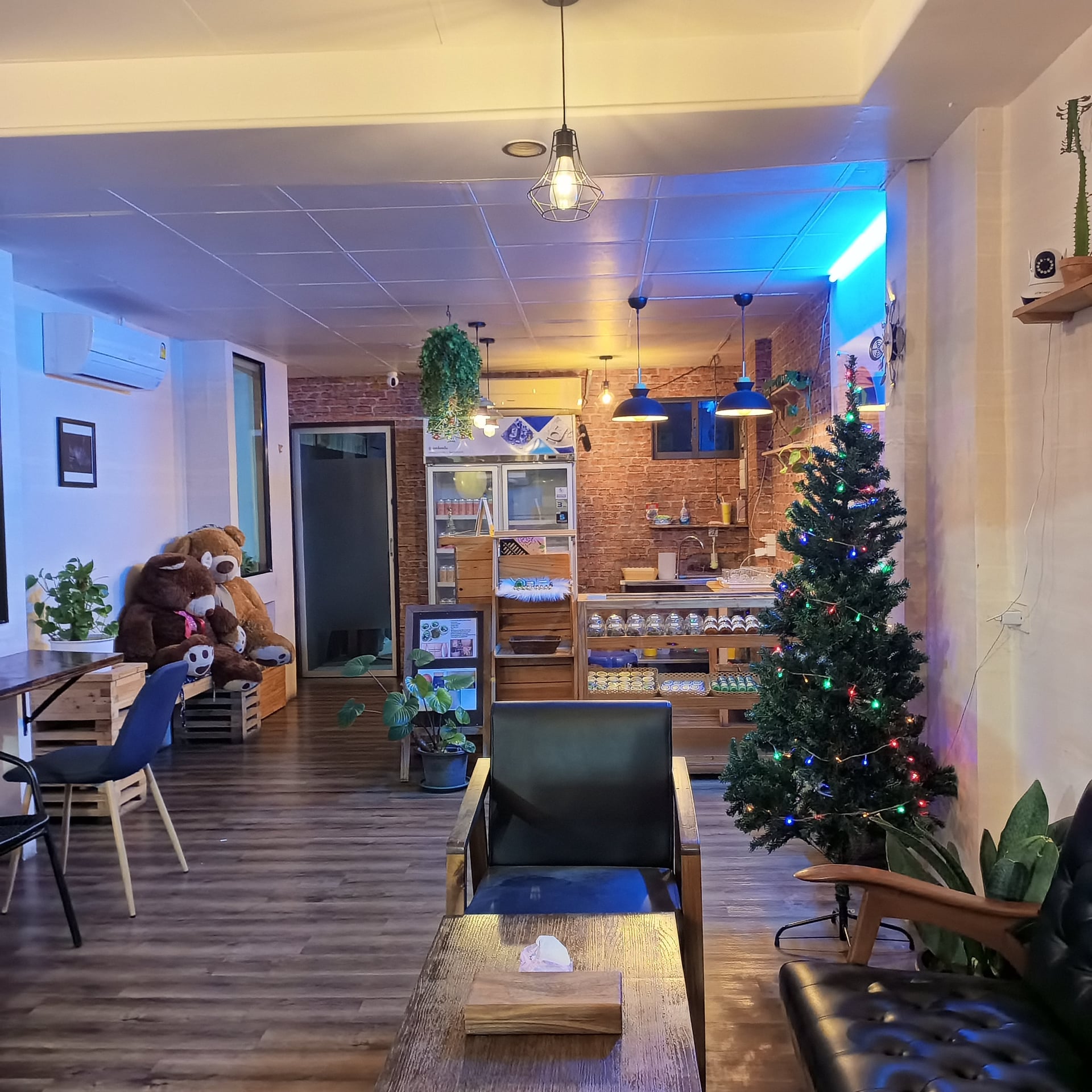 A Weed Cannabis Stores