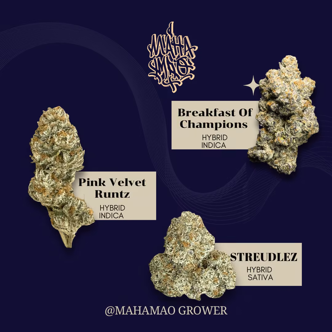 Cannabis Social Club Mahamao Cannabis I Delivery Only logo