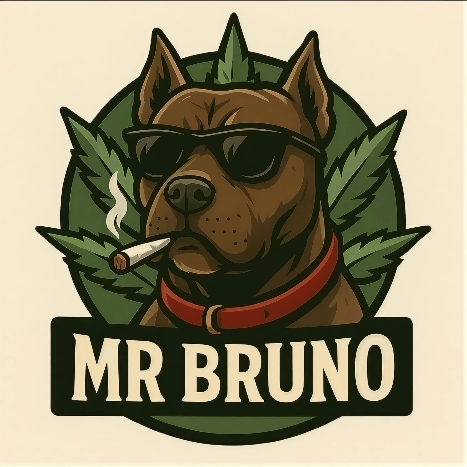Mr. Bruno logo