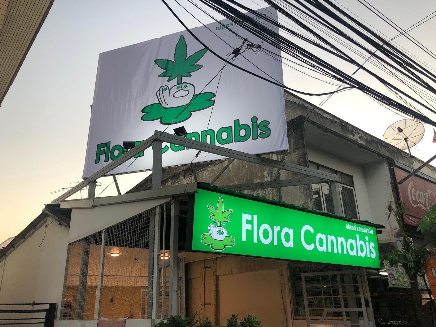 Flora Cannabis Don Mueang