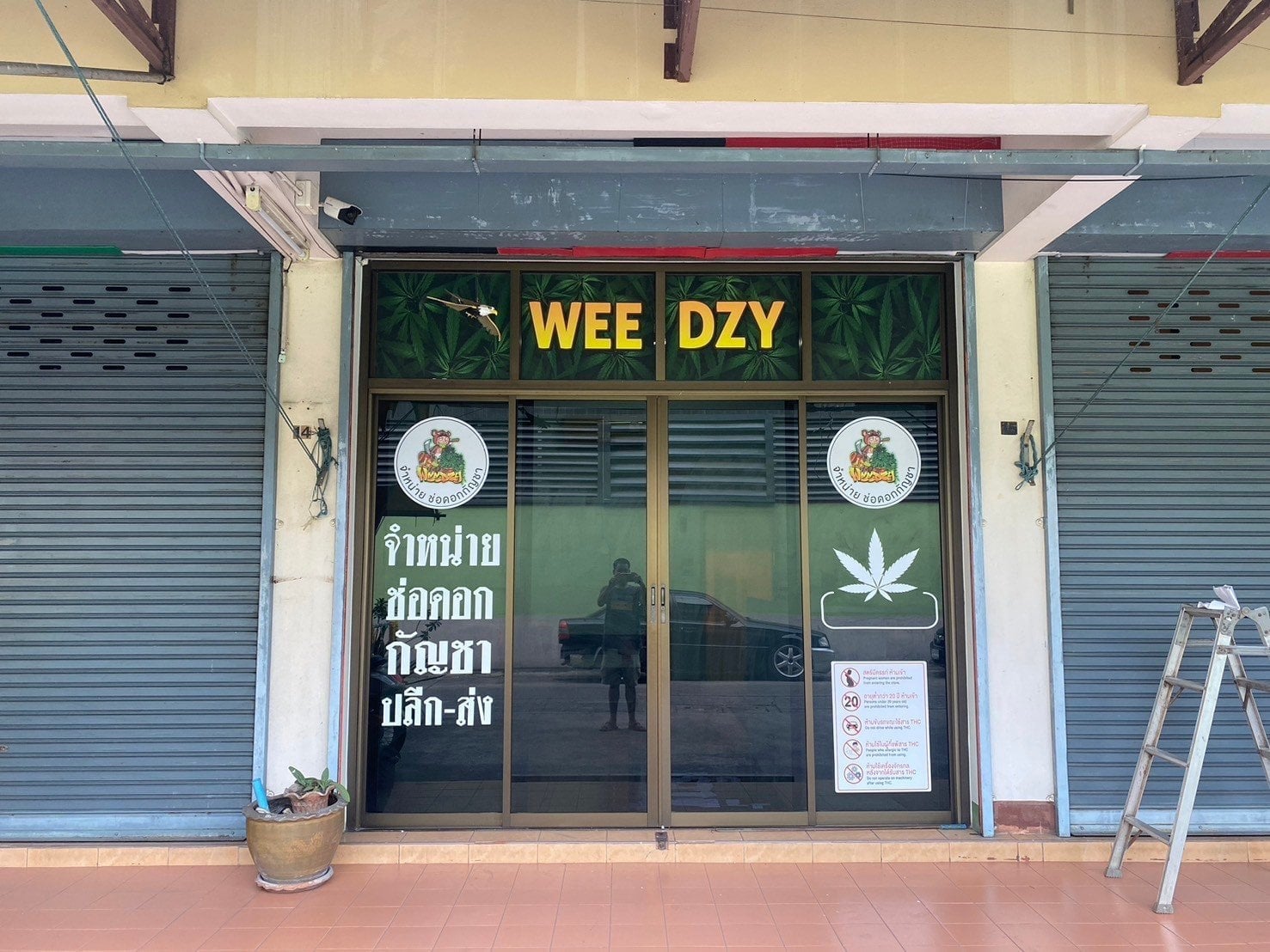 Weedzy Cannabis