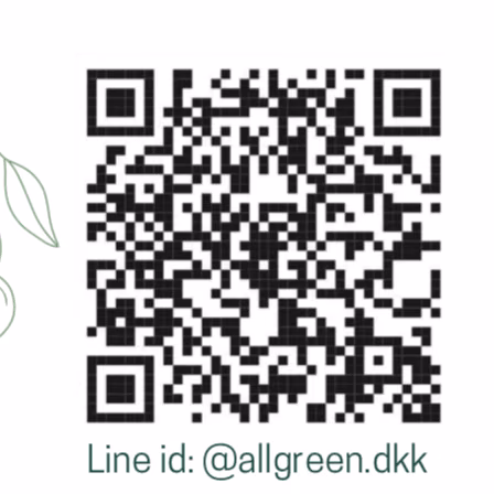 All Green Cannabis Weed Shop And Delivery Bangkok
