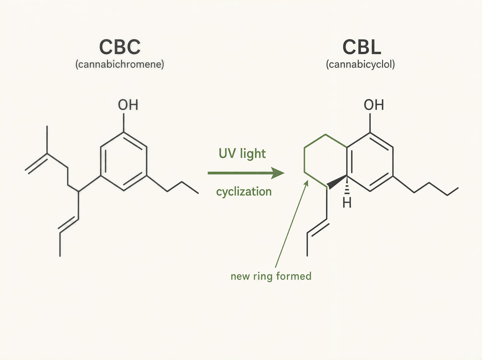 Schematic comparing CBC and CBL structures with ring closure highlighted under UV light.