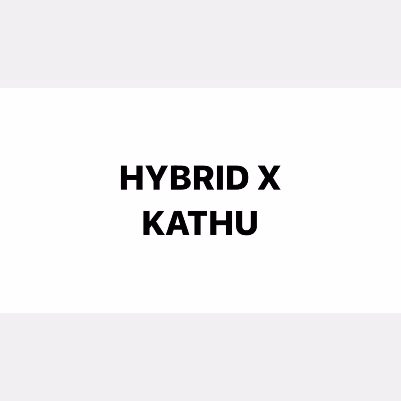 Cannabis Social Club Hybrid X logo