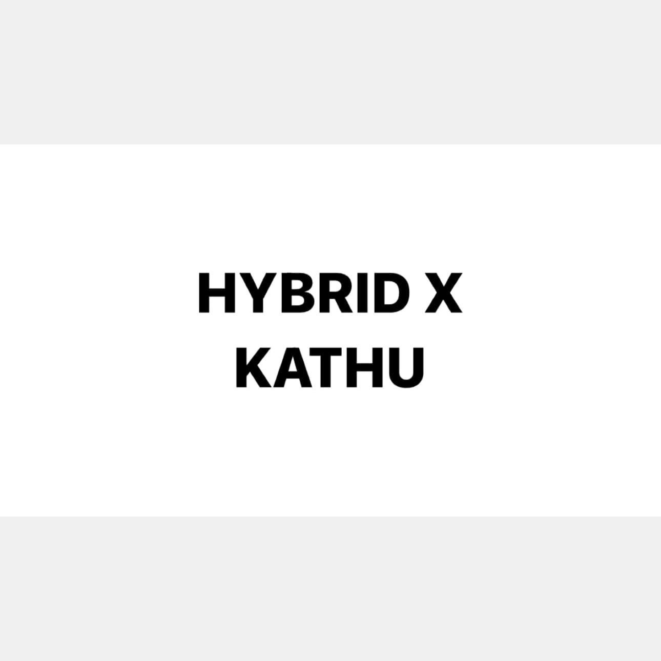 Hybrid X logo