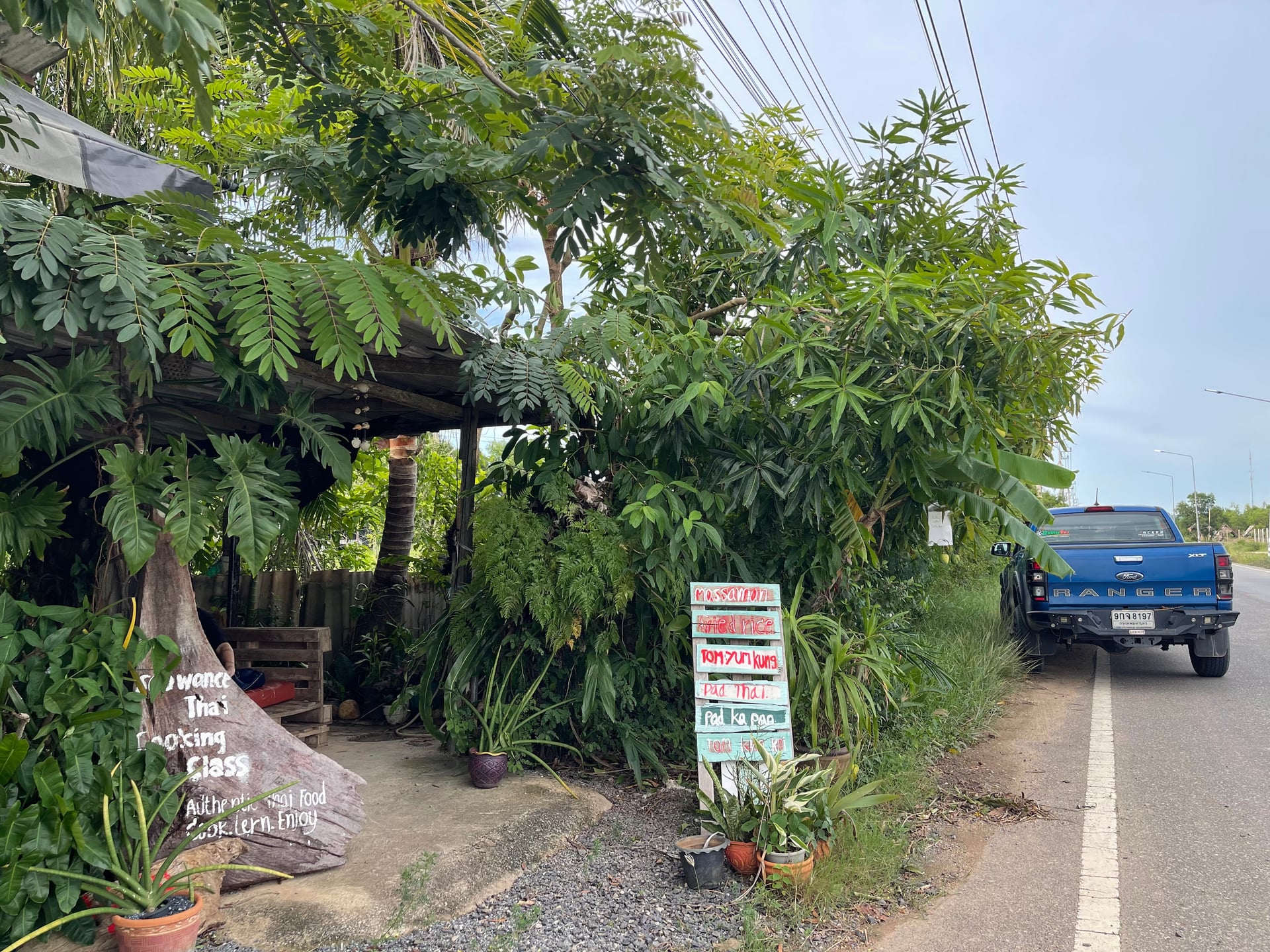 WEED BONG Klongwong Songkhla , , , Onkruid, Mauvaise Herbe