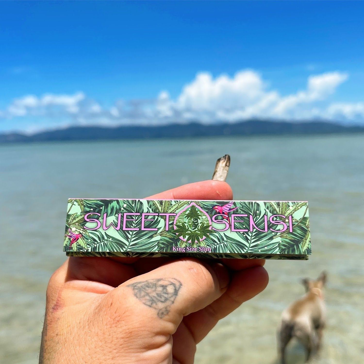 Sweet Sensi
