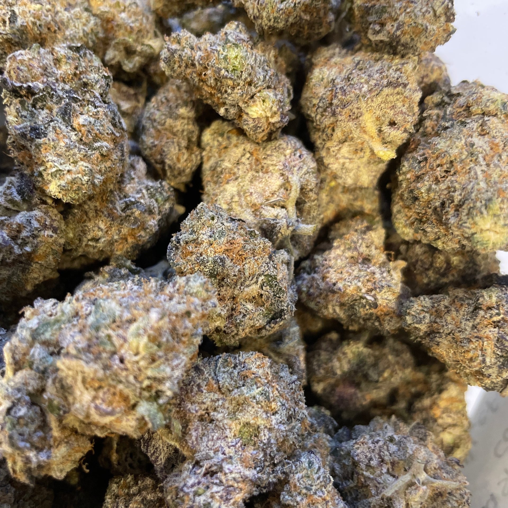 Frost Fine Cannabis
