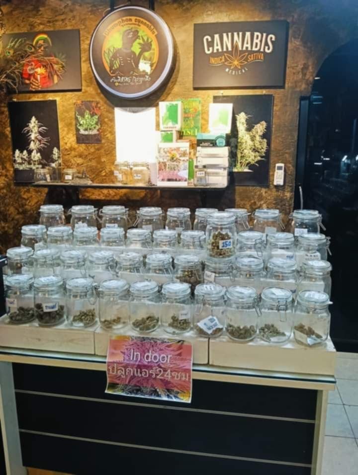 Chumphon Cannabis