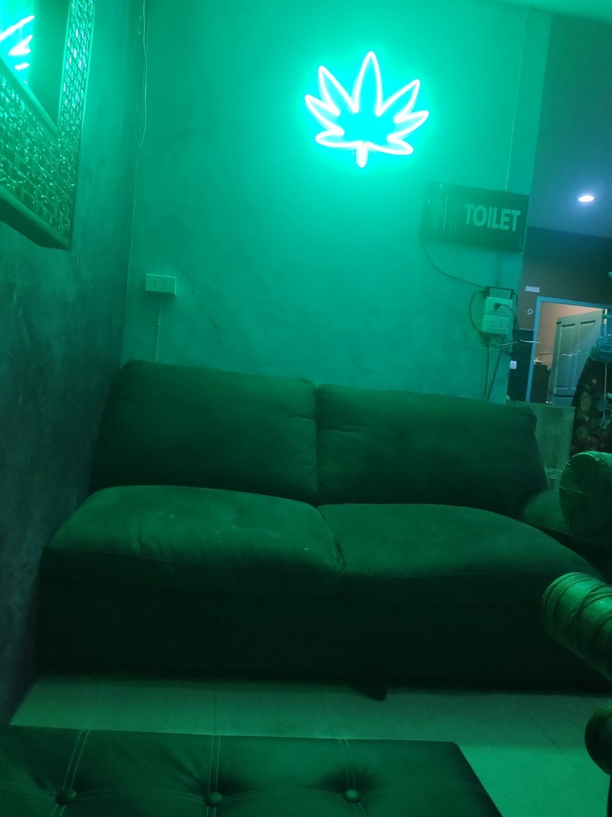 Adam & Eve's Weed
