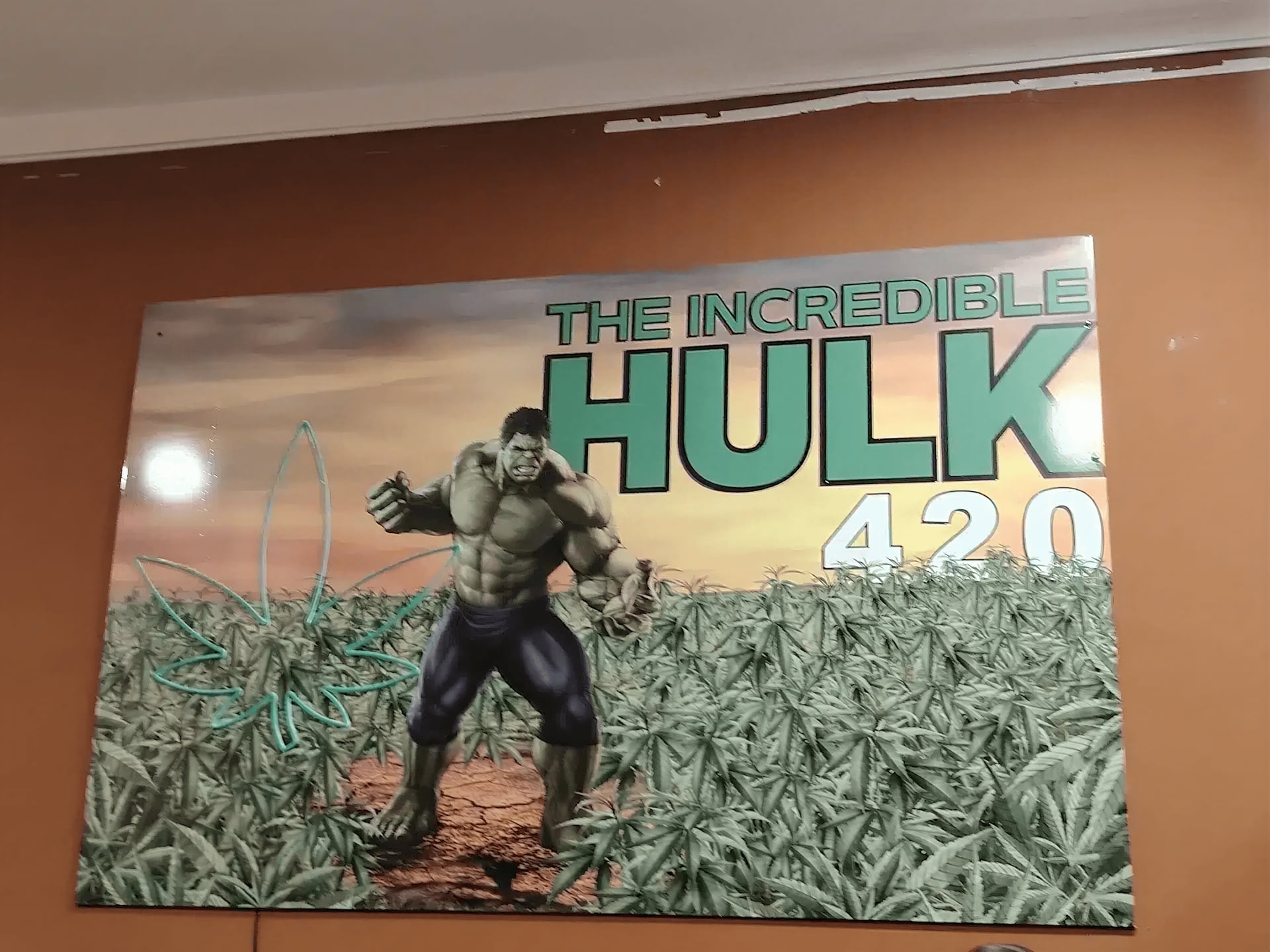 Incredible Hulk 420