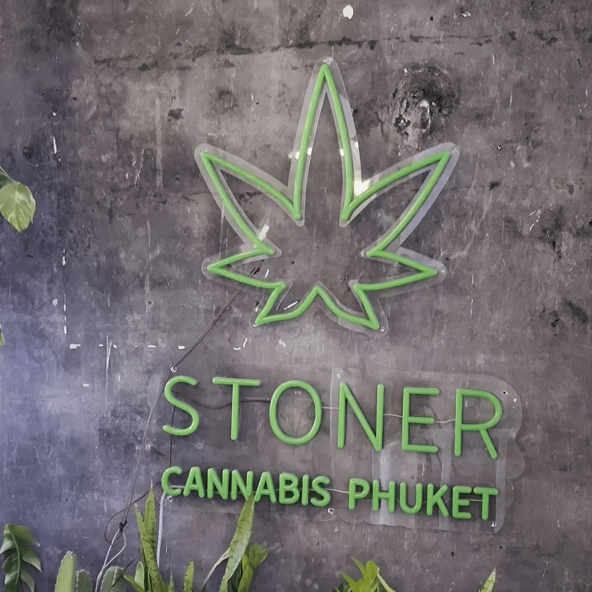 Stoner