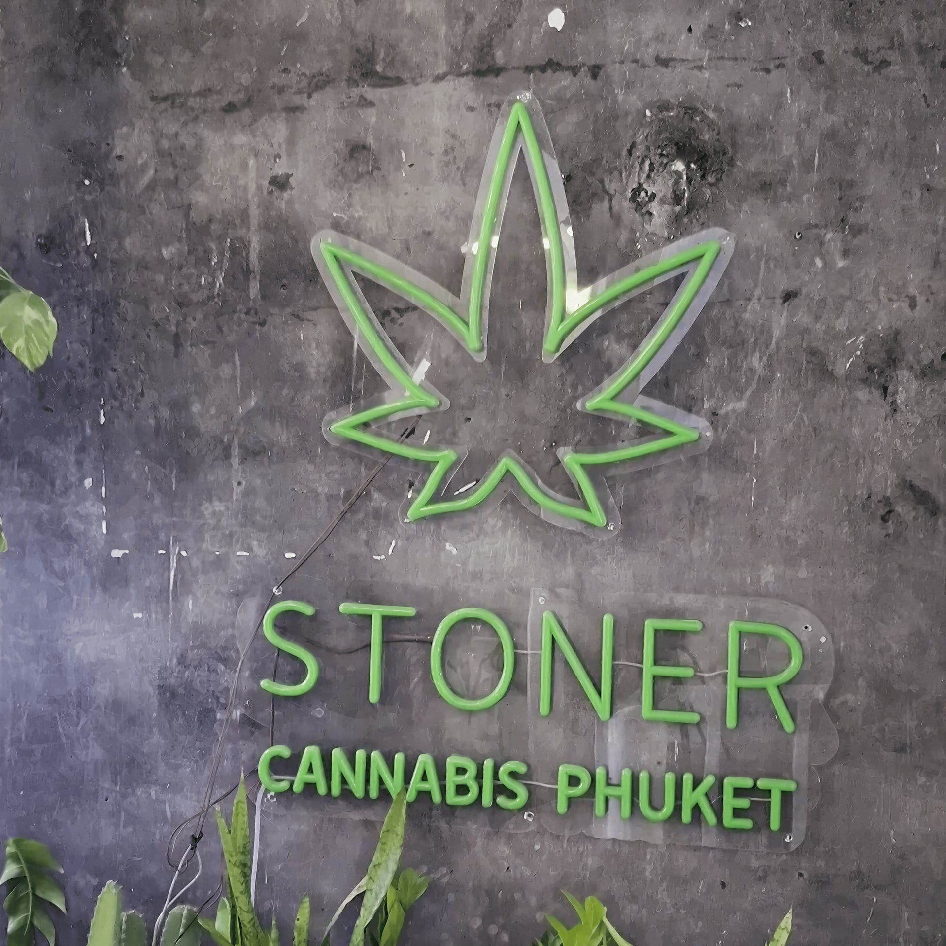 Stoner
